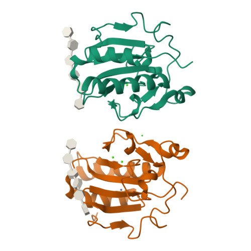 sonic hedgehog protein structure