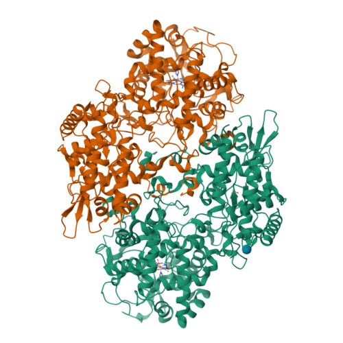 rcsb pdb - 6pt7: structure of kate1 catalase from... RCSB PDB - 4C50: Crystal Structure of the Catalase-Peroxidase (KatG ...