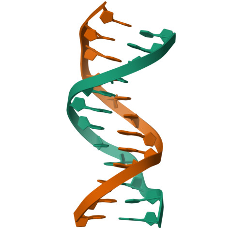 Aぇ!group DNA RCSB PDB - 1ZQQ: DNA POLYMERASE BETA (POL B) (E.C.2.7.7.7