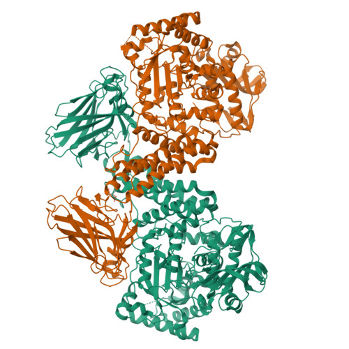 RCSB PDB - 4C91: Evidence that GH115 alpha-glucuronidase activity