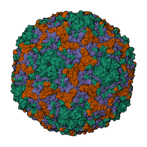 RCSB PDB 4CDQ Crystal structure of human Enterovirus 71 in complex