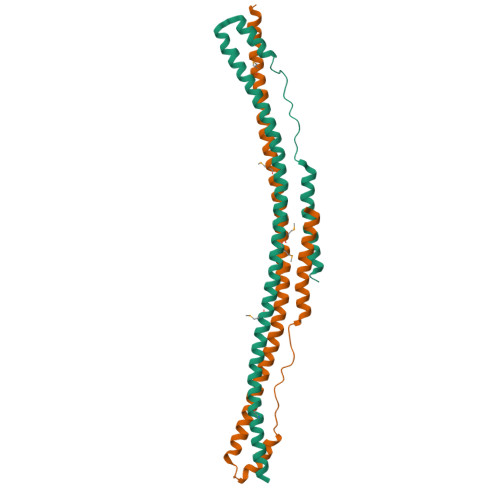 PDB 4CFG