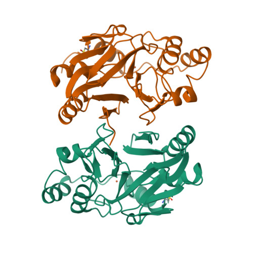 PDB 4CHL