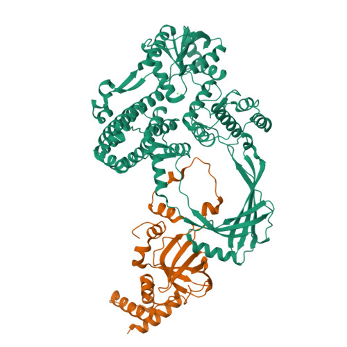 RCSB PDB - 4CHT: Crystal structure of the human