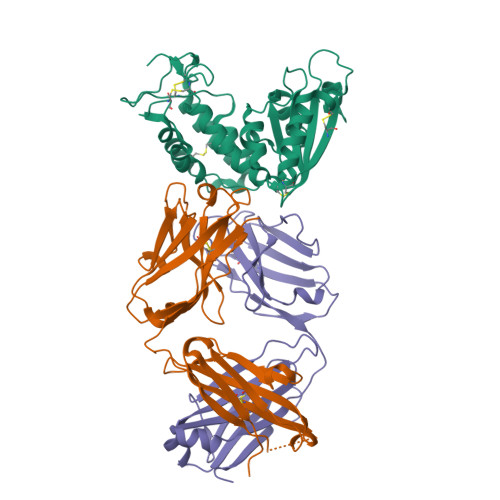 3D molecular structure of isatuximab-irfc (PDB entry 4CMH)