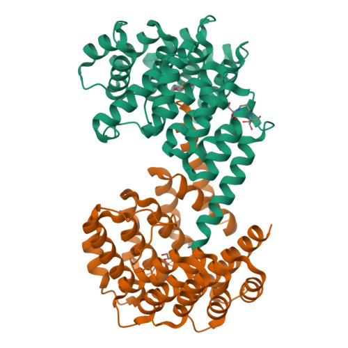 イラスト Deoxy.Hb' 393192