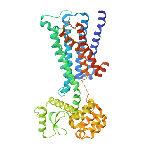 muscarinic acetylcholine receptor