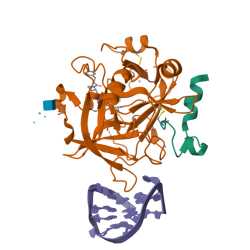 RCSB PDB - 4DIH: X-ray structure of the complex between