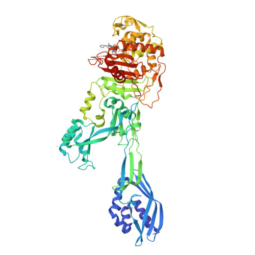 Rcsb Pdb Dki Structural Insights Into The Anti Methicillin