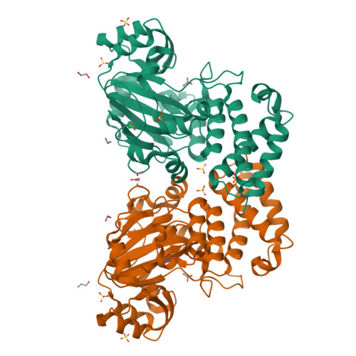 RCSB PDB - 4DO0: Crystal Structure of human PHF8 in complex with Daminozide