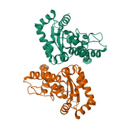 RCSB PDB - 4DVH: Crystal structure of Trypanosoma cruzi mitochondrial ...