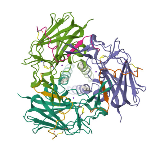 PDB 4DXR