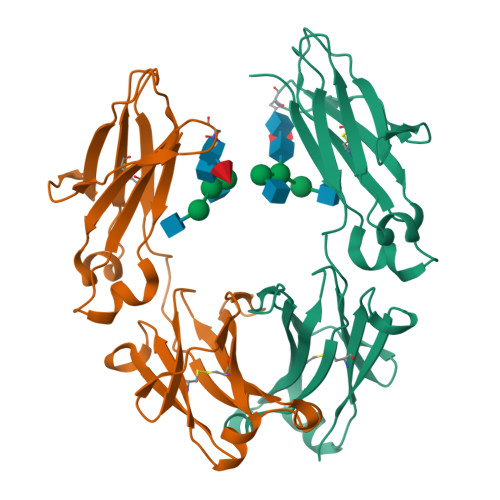 RCSB PDB - 4DZ8: human IgG1 Fc fragment Heterodimer