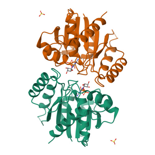 RCSB PDB - 4E09: Structure of ParF-AMPPCP, I422 form