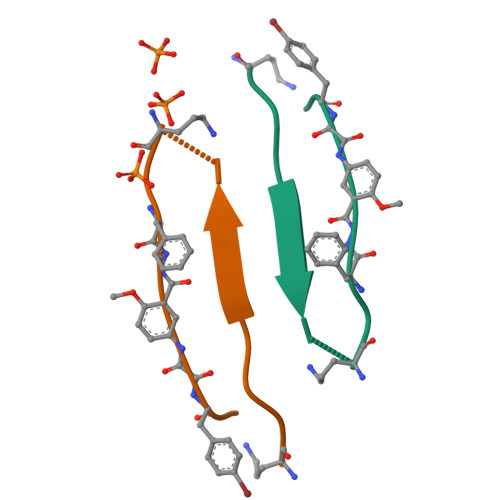 Biochemistry（生化学）～海外医学部を６年で卒業プロジェクト～