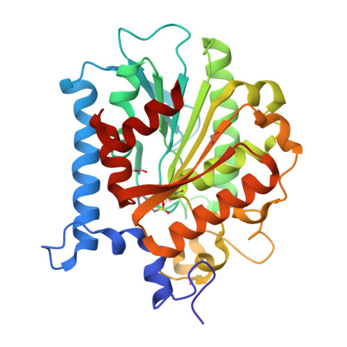 RCSB PDB - 4E15: Crystal structure of kynurenine formamidase conjugated ...