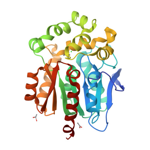 RCSB PDB - 4E46: Structure of Rhodococcus rhodochrous haloalkane ...