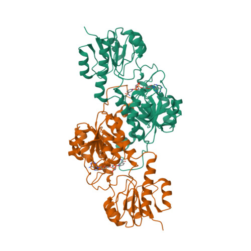 RCSB PDB - 4E5N: Thermostable phosphite dehydrogenase in complex 