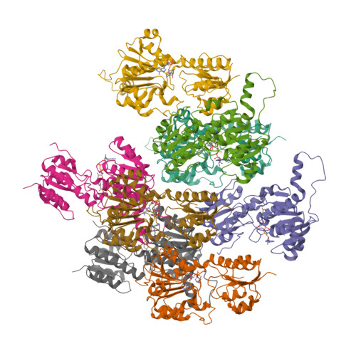 RCSB PDB - 4E5N: Thermostable phosphite dehydrogenase in complex 