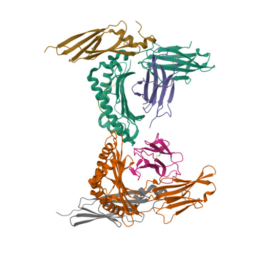 EMD-8064 (RSCB PDB 5HX2) T4 baseplate protein has similar