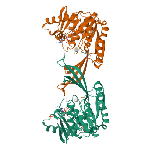 D-beta-D-heptose 7-phosphate kinase structure