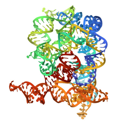 RCSB PDB - 4E8K: Structure of Oceanobacillus iheyensis group II intron ...