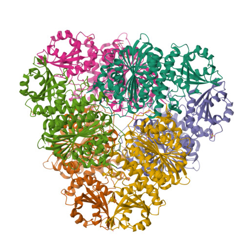RCSB PDB - 4EFD: Crystal Structure of an M17 aminopeptidase from ...