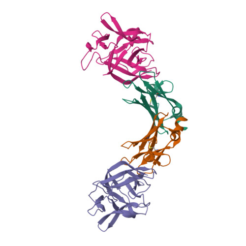 RCSB PDB - 4EKX: Crystal Structure of YLDV 14L IL-18 Binding