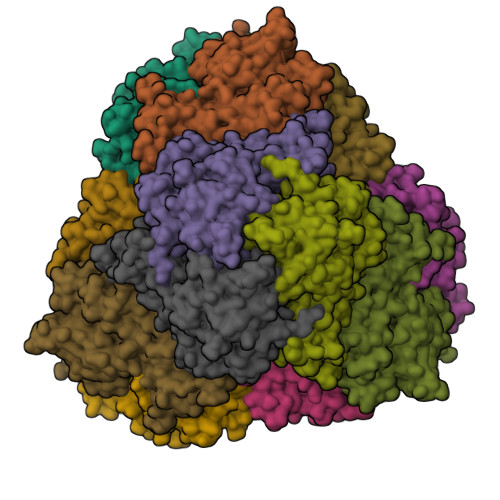 Aspartyl aminopeptidase structure