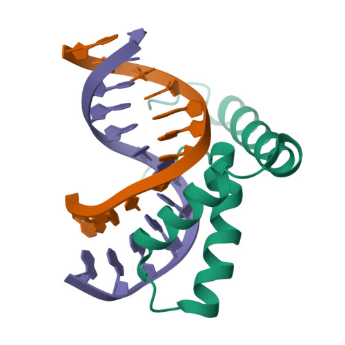 RCSB PDB - 4EUW: Crystal structure of a HMG domain of
