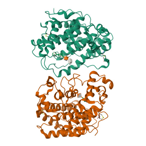 RCSB PDB - 4F10: Alginate lyase A1-III H192A complexed with