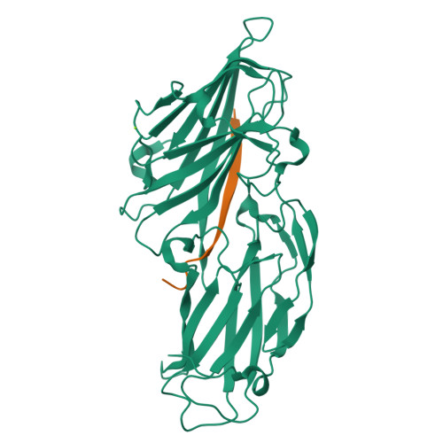 RCSB PDB - 4F1Z: Crystal structures reveal the multi-ligand binding ...