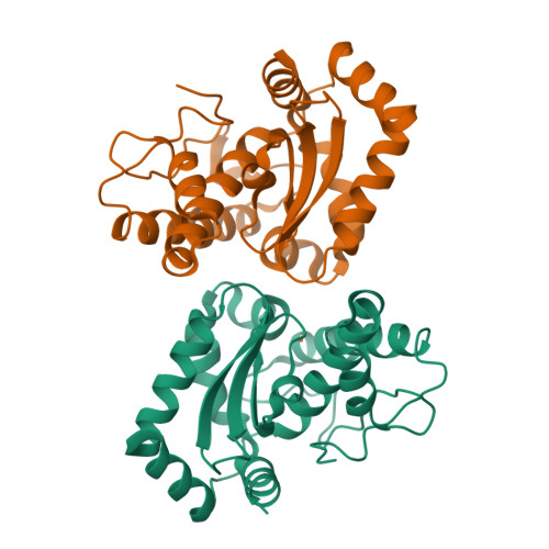 superoxide dismutase structure