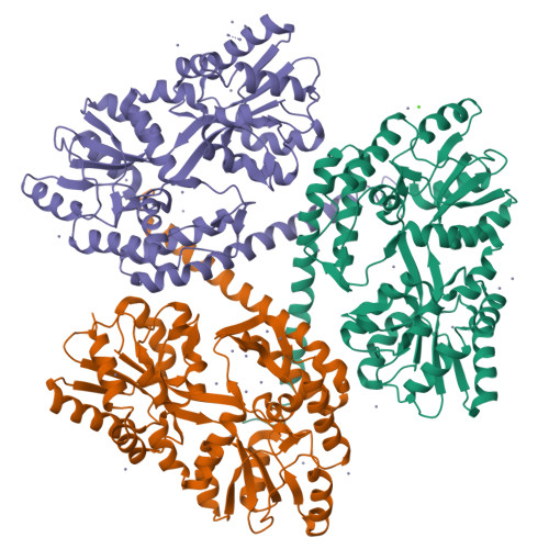 RCSB PDB - 4FED: Crystal Structure of Htt36Q3H