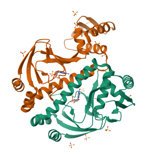RCSB PDB - 4FT8: E. coli Catabolite Activator Protein with Cobalt and ...