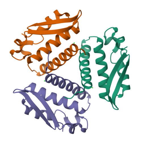 RCSB PDB - 4FUR: Crystal Structure of Urease subunit gamma 2 from ...