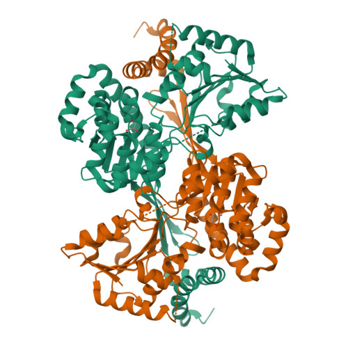 Histidinol dehydrogenase structure