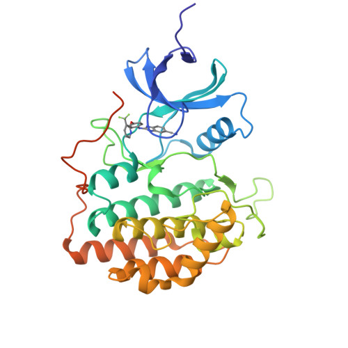 RCSB PDB - 4G16: Crystal structure of ck1g3 with 2-[(4-{[3 ...