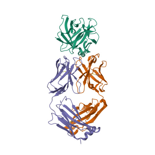 RCSB PDB - 4G6J: Crystal structure of human IL-1beta in complex 