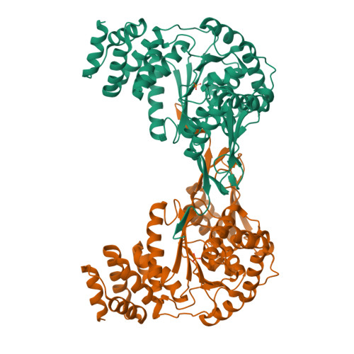 RCSB PDB - 4GA4: Crystal structure of AMP phosphorylase N-terminal ...