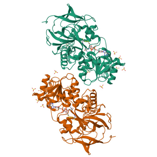 RCSB PDB - 4GL4: Crystal structure of oxidized S-nitrosoglutathione ...