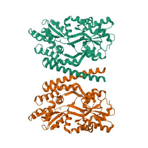 Rcsb Pdb Gli Crystal Structure Of Human Smn Yg Dimer