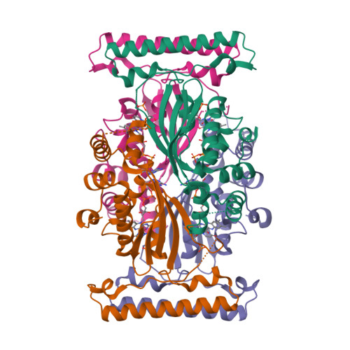 Rcsb Pdb Gtd T Maritima Fdts E R Mutant With Fad And Dump