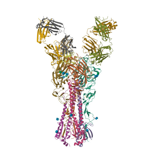 RCSB PDB - 4GXU: Crystal structure of antibody 1F1 bound to the