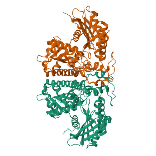 rcsb pdb - 6pt7: structure of kate1 catalase from... RCSB PDB - 4H0P: Crystal Structure of Acetate Kinase from Cryptococcus ...