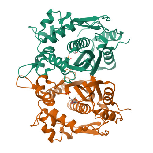 RCSB PDB - 4H0U: Crystal structure of thymidylate synthase from ...