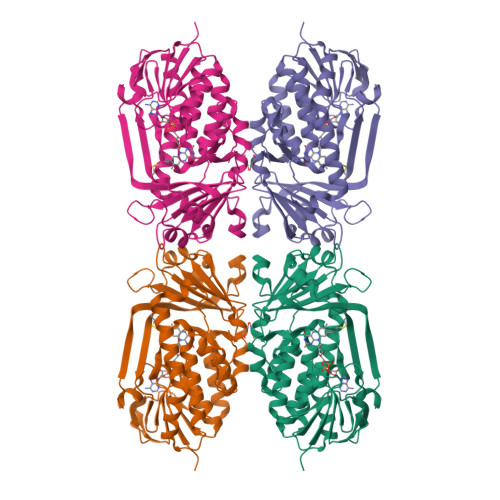 RCSB PDB - 4H2N: Crystal structure of MHPCO, Y270F mutant