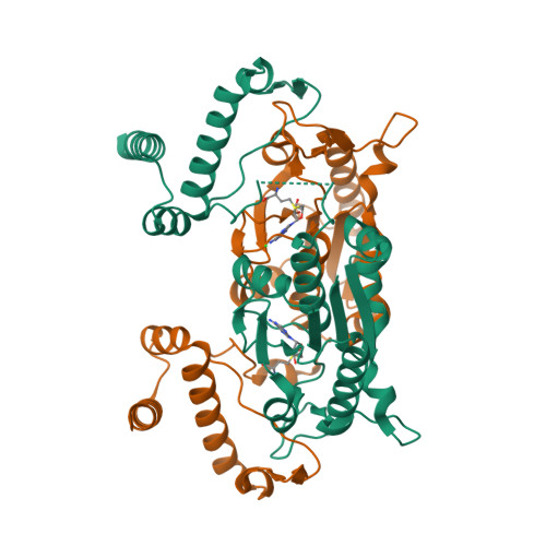 RCSB PDB - 4H3Z: Crystal structure of a symmetric dimer of a tRNA 