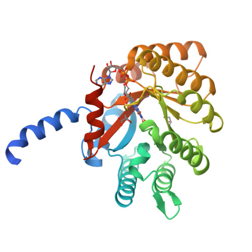 RCSB PDB - 4H6R: Structure of reduced Deinococcus radiodurans