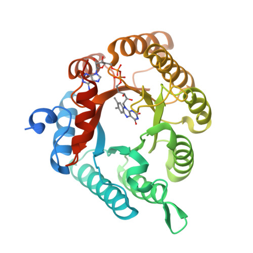 RCSB PDB - 4H6R: Structure of reduced Deinococcus radiodurans